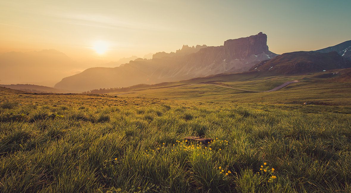 A field with grass and mountains in the background.