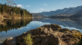 A body of water with trees in the background